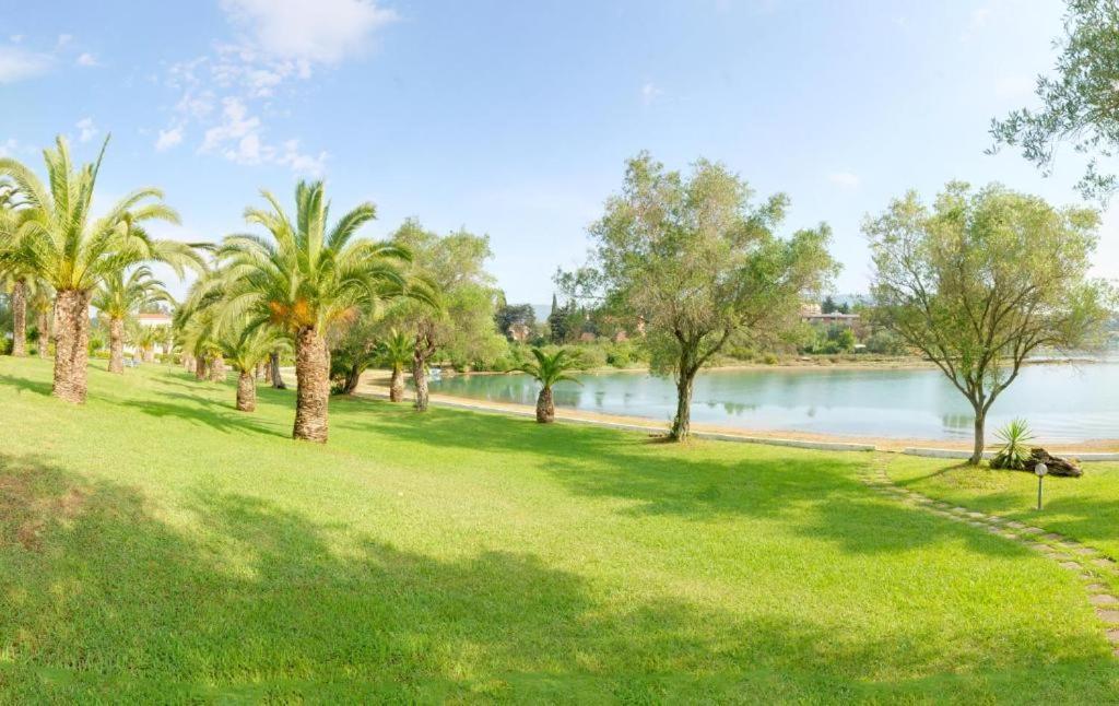 Palm Tree Corfu Apt. *